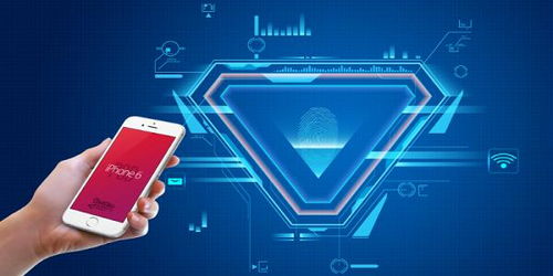 上海軟件測(cè)試與開發(fā)培訓(xùn)學(xué)校精選指南